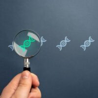 DNATest DNATest